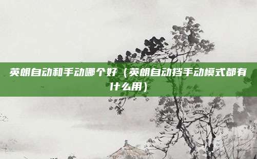 英朗自动和手动哪个好（英朗自动挡手动模式都有什么用）