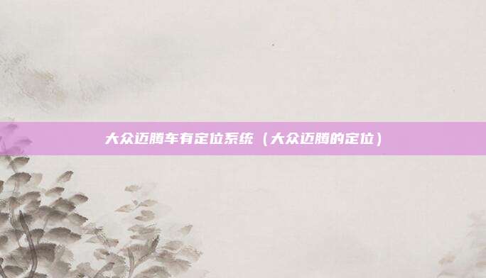 大众迈腾车有定位系统（大众迈腾的定位）
