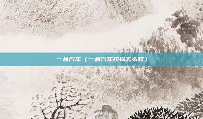 一品汽车（一品汽车按揭怎么样）