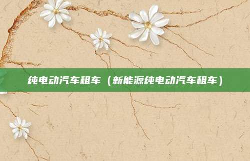 纯电动汽车租车（新能源纯电动汽车租车）