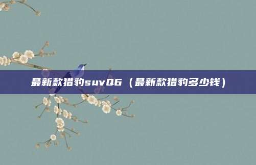 最新款猎豹suvQ6（最新款猎豹多少钱）
