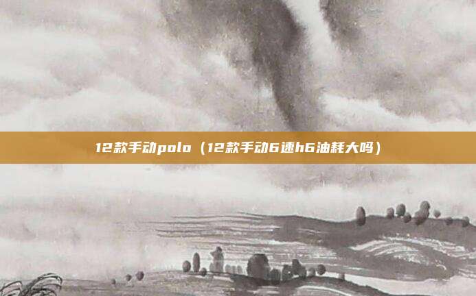 12款手动polo(12款手动6速h6油耗大吗)