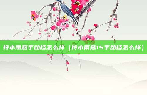 铃木雨燕手动档怎么样（铃木雨燕15手动挡怎么样）