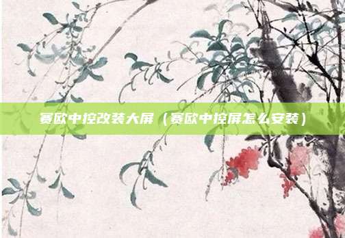 赛欧中控改装大屏（赛欧中控屏怎么安装）