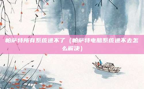 帕萨特所有系统进不了（帕萨特电脑系统进不去怎么解决）