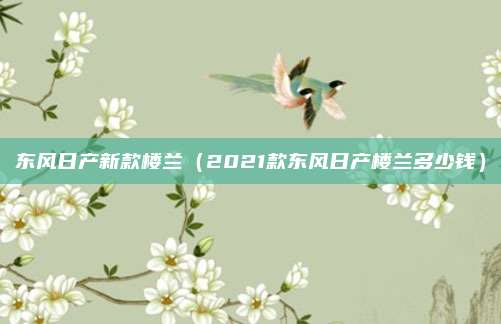东风日产新款楼兰（2021款东风日产楼兰多少钱）