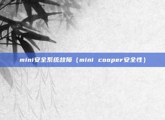 mini安全系统故障（mini cooper安全性）
