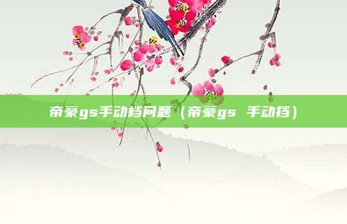 帝豪gs手动档问题（帝豪gs 手动挡）