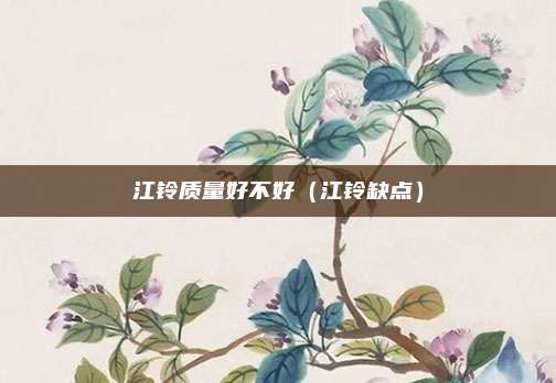 江铃质量好不好（江铃缺点）