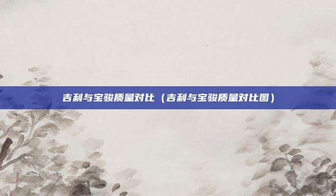 吉利与宝骏质量对比(吉利与宝骏质量对比图)