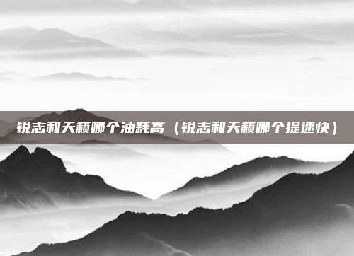 锐志和天籁哪个油耗高（锐志和天籁哪个提速快）