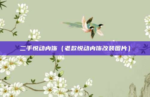 二手悦动内饰（老款悦动内饰改装图片）