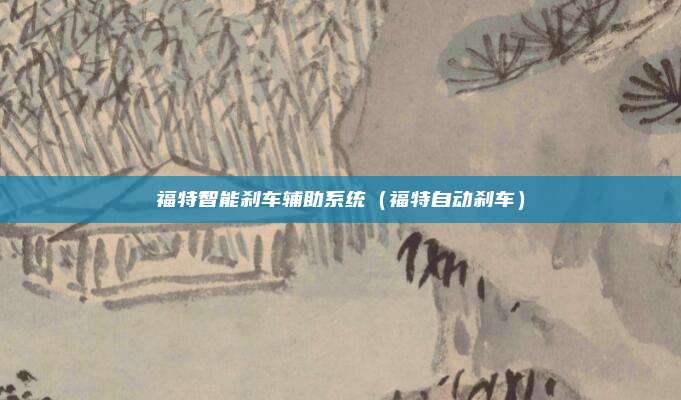 福特智能刹车辅助系统(福特自动刹车)