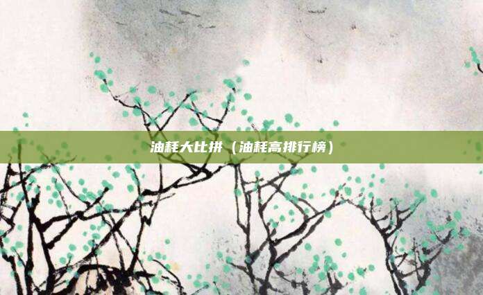 油耗大比拼(油耗高排行榜)