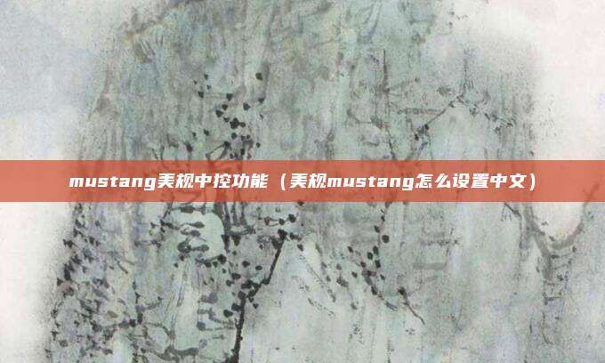 mustang美规中控功能（美规mustang怎么设置中文）