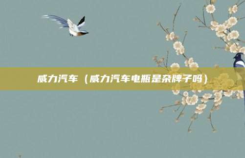 威力汽车（威力汽车电瓶是杂牌子吗）