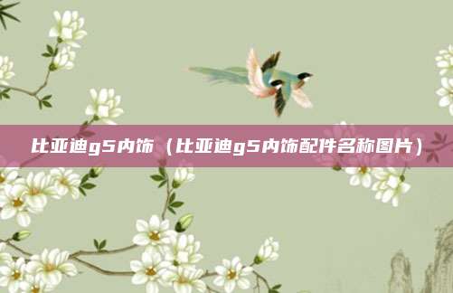 比亚迪g5内饰（比亚迪g5内饰配件名称图片）