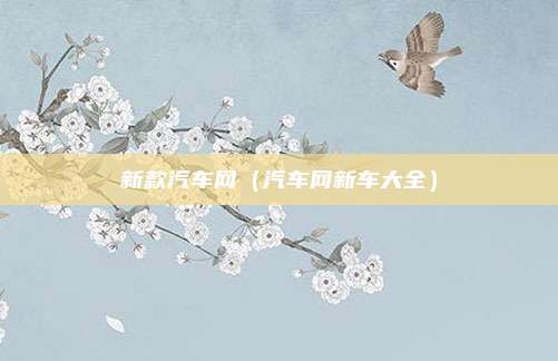 新款汽车网（汽车网新车大全）