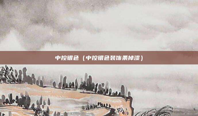 中控银色(中控银色装饰条掉漆)
