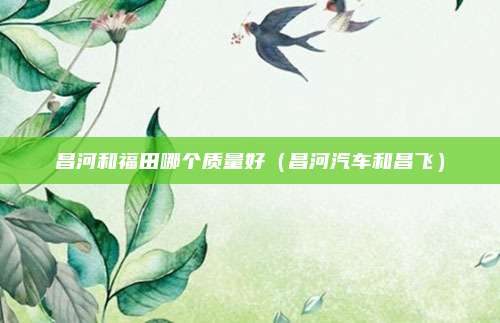 昌河和福田哪个质量好（昌河汽车和昌飞）