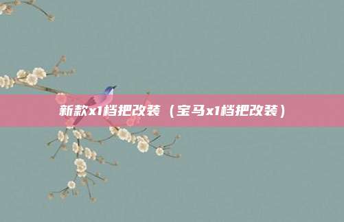 新款x1档把改装（宝马x1档把改装）