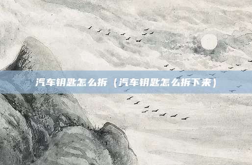 汽车钥匙怎么拆(汽车钥匙怎么拆下来)