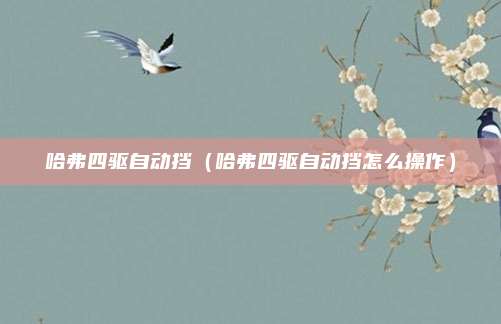 哈弗四驱自动挡（哈弗四驱自动挡怎么操作）