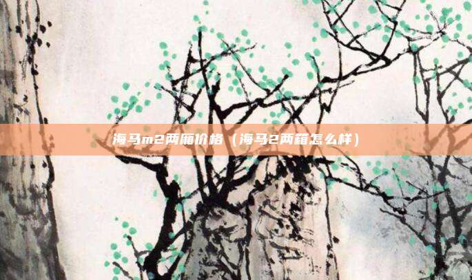 海马m2两厢价格（海马2两箱怎么样）
