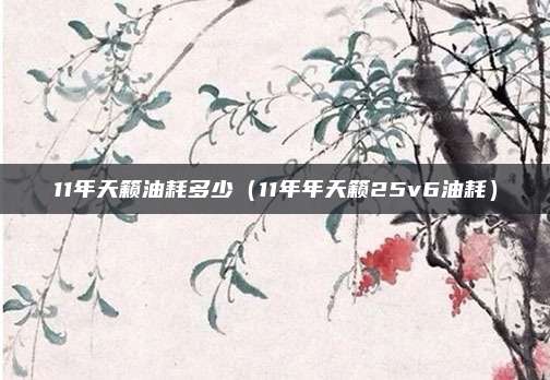 11年天籁油耗多少（11年年天籁25v6油耗）