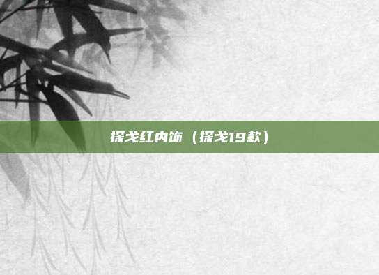 探戈红内饰（探戈19款）