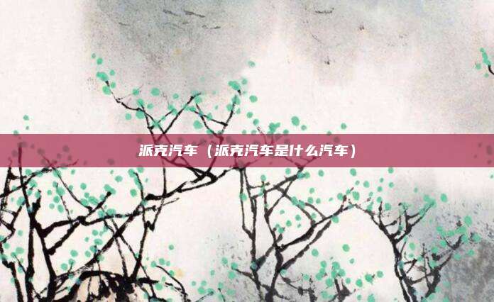 派克汽车（派克汽车是什么汽车）