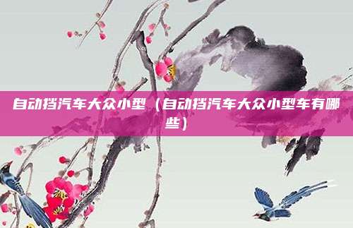自动挡汽车大众小型（自动挡汽车大众小型车有哪些）