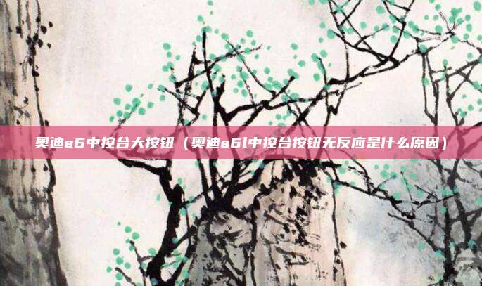奥迪a6中控台大按钮（奥迪a6l中控台按钮无反应是什么原因）