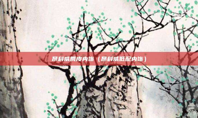 昂科威麂皮内饰（昂科威低配内饰）
