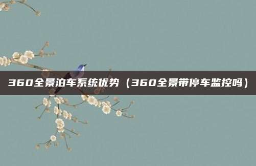 360全景泊车系统优势（360全景带停车监控吗）