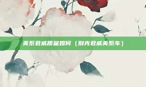 美系君威质量如何（别克君威美系车）