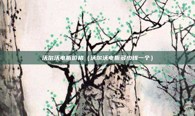 沃尔沃电瓶价格（沃尔沃电瓶多少钱一个）