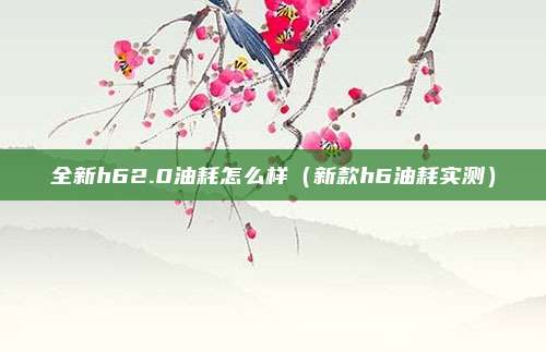 全新h62.0油耗怎么样（新款h6油耗实测）