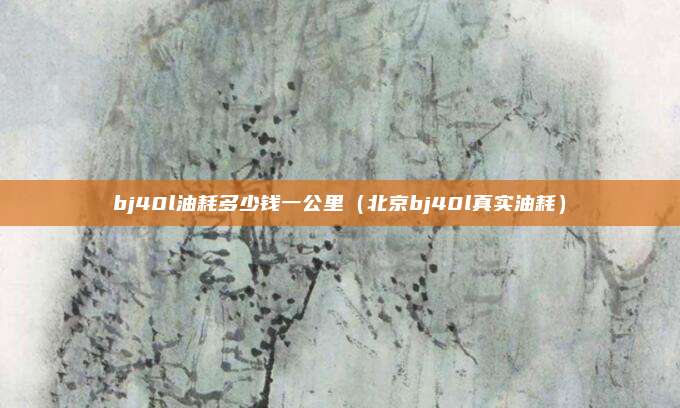 bj40l油耗多少钱一公里（北京bj40l真实油耗）