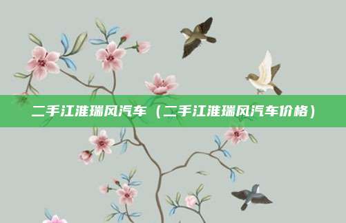 二手江淮瑞风汽车（二手江淮瑞风汽车价格）