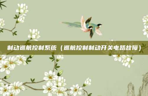 制动巡航控制系统（巡航控制制动开关电路故障）