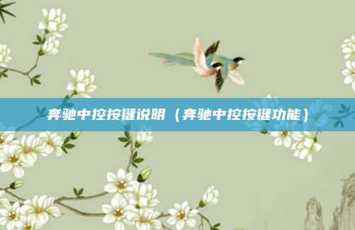 奔驰中控按键说明（奔驰中控按键功能）