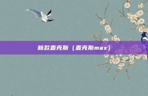 新款麦克斯（麦克斯max）
