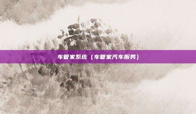 车管家系统（车管家汽车服务）