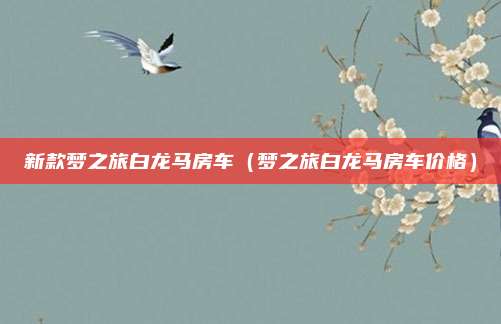 新款梦之旅白龙马房车（梦之旅白龙马房车价格）