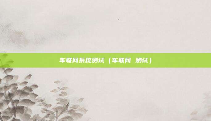 车联网系统测试（车联网 测试）