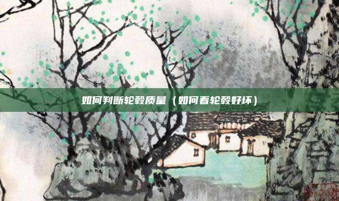如何判断轮毂质量(如何看轮毂好坏)