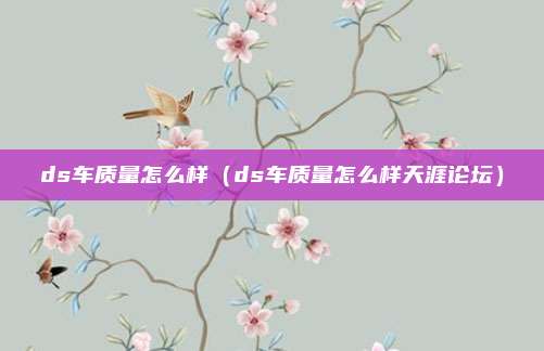 ds车质量怎么样(ds车质量怎么样天涯论坛)