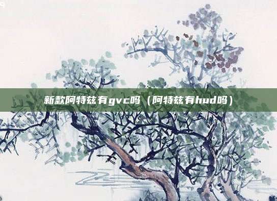新款阿特兹有gvc吗（阿特兹有hud吗）