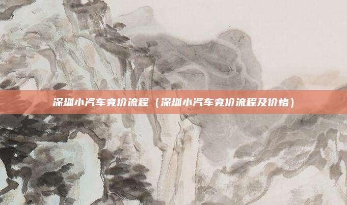 深圳小汽车竞价流程（深圳小汽车竞价流程及价格）